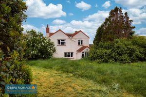 Garden- click for photo gallery